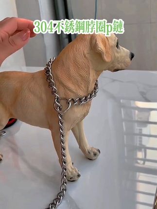 狗项圈不锈钢德牧金属罗威纳狗链金毛大型犬训犬控制链脖套p链 #p链 #项圈 #新手养狗 #不锈钢p链