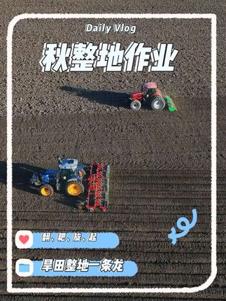 旱田整地一条龙,这个场景了可是不好碰哦,请大家大饱眼福吧😊 #真实生活分享计划 #抖音新农人 #三农
