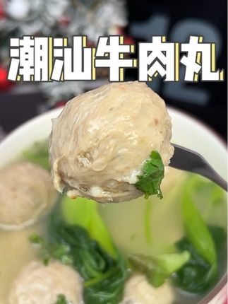 爱吃牛肉的这款潮汕牛肉丸一定要尝尝!#潮汕牛肉丸 #牛肉丸 #火锅 #自律 #肉食主义
