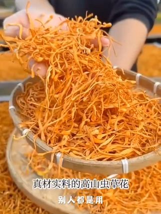 【高山虫草花】菌菇煮汤炖乌鸡炖排骨优选食材东北营养丰富美味