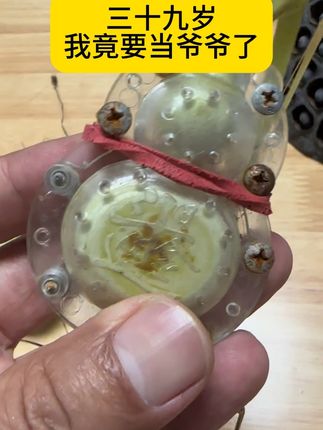 39岁的我在2025年要做爷爷了,#葫芦娃 #葫芦 #葫芦娃救爷爷