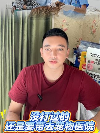#养猫人 #宠物生活 #养宠知识 #宠物科普