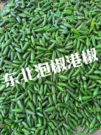 新鲜港椒泡椒大量有货,嗷嗷辣能吃辣的大哥来挑战一下。 #港椒 #港椒咸菜 #港椒咸菜的制作