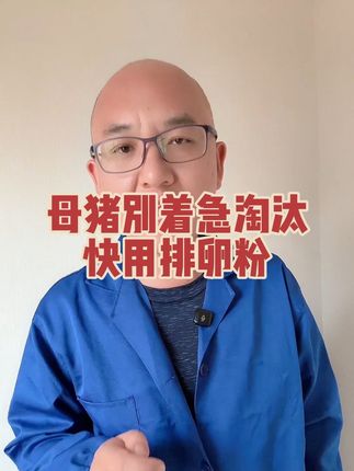 母猪产子少千万别淘汰 #养猪人 #所有养猪人 #养猪知识 #养猪人不容易 #养猪人加油