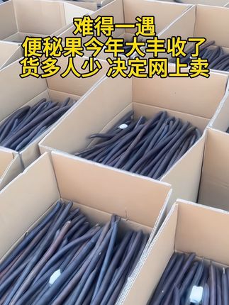 #腊肠果别名便秘果 #便秘果 #腊肠果正确泡水喝的视频 #农产品 #三农流量扶持计划