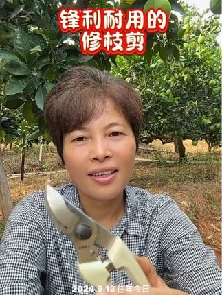 修枝剪#果园管理 #三农种植