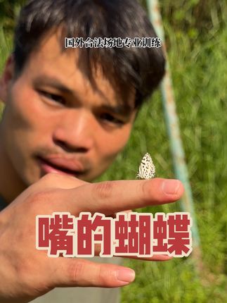 天生的神枪手