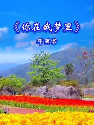 #忆经典#邓丽君#你在我梦里