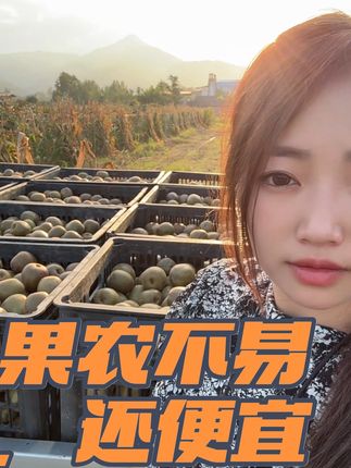 返乡创业,果农不易,搬果子很辛苦而且还不挣钱#为每一种未来 #抖音助农 #返乡创业青年 #红心猕猴桃