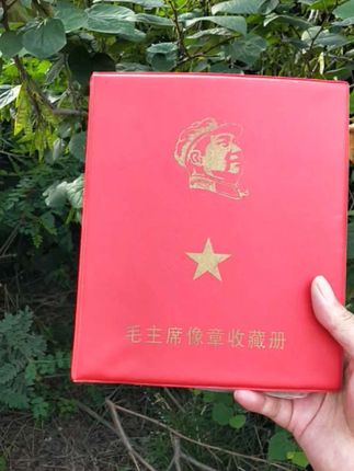 毛主席像章大全,120枚像章#纪念章 #伟人像章 #像章 #像章收藏 #收藏