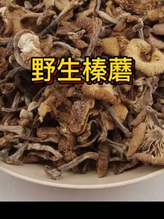 #野生榛蘑 #东北野生榛蘑#炖小鸡的榛蘑