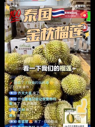 #百分百 #泰国榴莲 #泰国金枕榴莲 #正大泰国榴莲 #榴莲控 正大泰国金枕,纯粹泰式甜糯。 百分百原产生态,一口沦陷热带香。