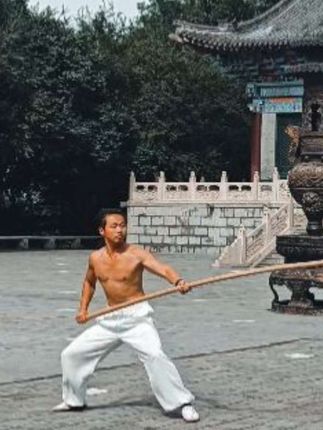 人心本寂 何须假静 非必入山 凡尘洗心 得无念 得无名#传武 #传统武术 #大枪 #六合大枪 #非遗传承