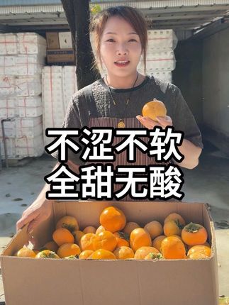 喜欢吃脆柿子的快冲#我的乡村生活 #新鲜采摘 #柿子 #脆柿子 #新农人计划