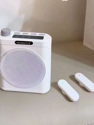 #无线领夹麦 这个小蜜蜂无线领家扩音器,老师、导游都要备一个,随时一放,就能外放,还有回声消除,降噪功能 #数码科技 #科技改变生活 #强烈推荐 #创作灵感@巨量千川 @DOU+小助手