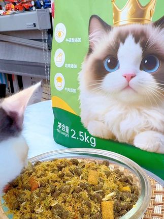 这真的是给猫吃的吗?7种肉绒+7种夹心的猫粮现在厂家冲销量,价格巨划算,姐妹们冲呀!#猫粮 #好吃到停不下来 #萌宠出道计划 #萌宠好物 #超便宜超划算