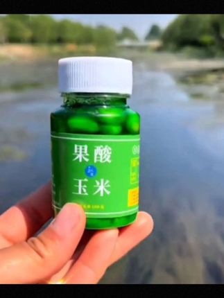 #钓鱼#玉米钓鱼#玉米饵料#果酸玉米#爆护饵料