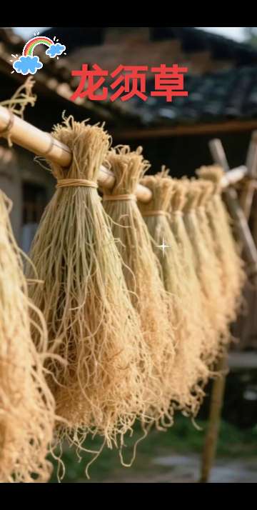 #龙须草#广东靓汤#喝出好气色 #干货分享 #煲汤爱好者