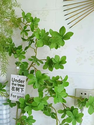 #仿真绿植吊钟 #吊钟 #仿真绿植 #仿真绿植造景 #仿真绿植软装