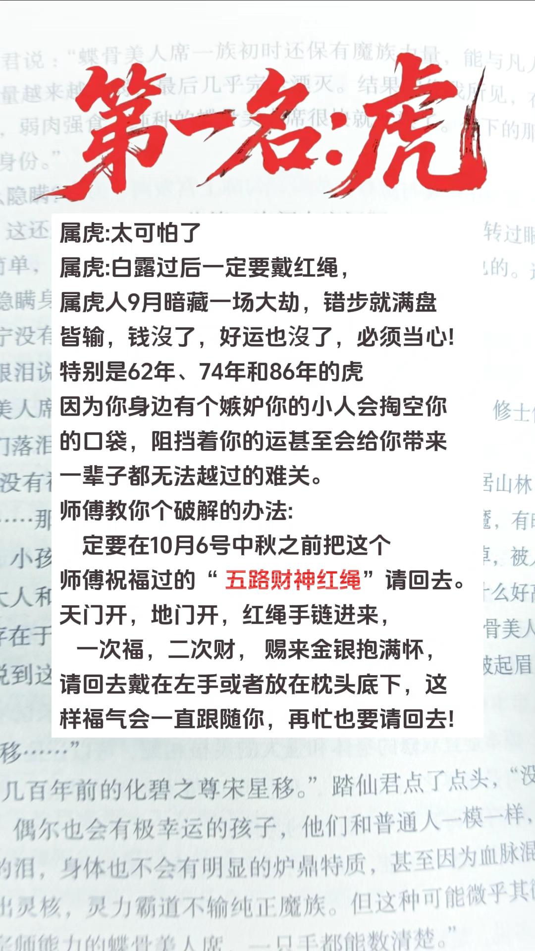 #虎 #属虎 #生肖虎