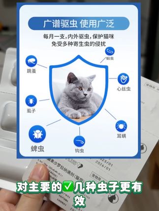 妙宠爱四代驱虫更干净✅错过后悔一整年#萌宠 #养猫新手 #萌宠好物 #抖音萌宠出道计划 #猫的迷惑行为