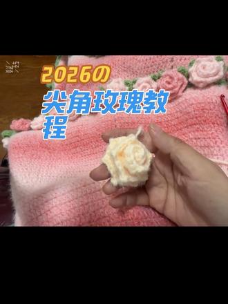 19针尖角玫瑰详细教程#分享手工作品 #手工diy #毛线钩织 #尖角玫瑰教程 #上热门感谢官方大大给流量