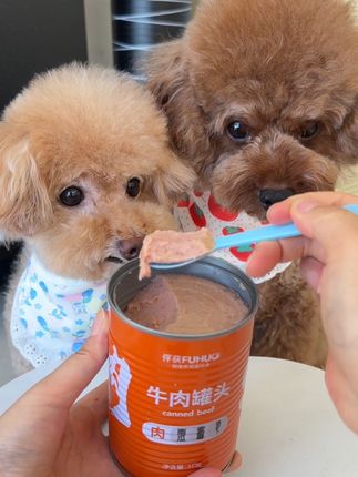 小若若你慢点吃别着急 没有狗和你抢 牛肉蔬菜罐头 可拌狗粮增加毛孩子食欲 狗狗很爱吃#狗罐头 #家有馋狗 #我家毛孩子 #宠物罐头#泰迪