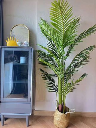 #仿真散尾葵 #室内仿真植物