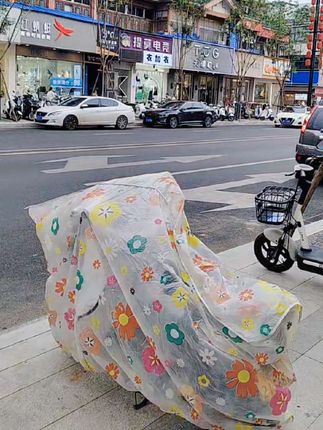 #电动车防雨罩#电动车#摩托车#雨天#出行