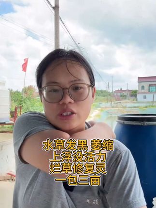 修复水草,改善高温烫伤水草状态。上浮发黑萎缩没活力,一包三亩连用两次#水草 #伊乐草
