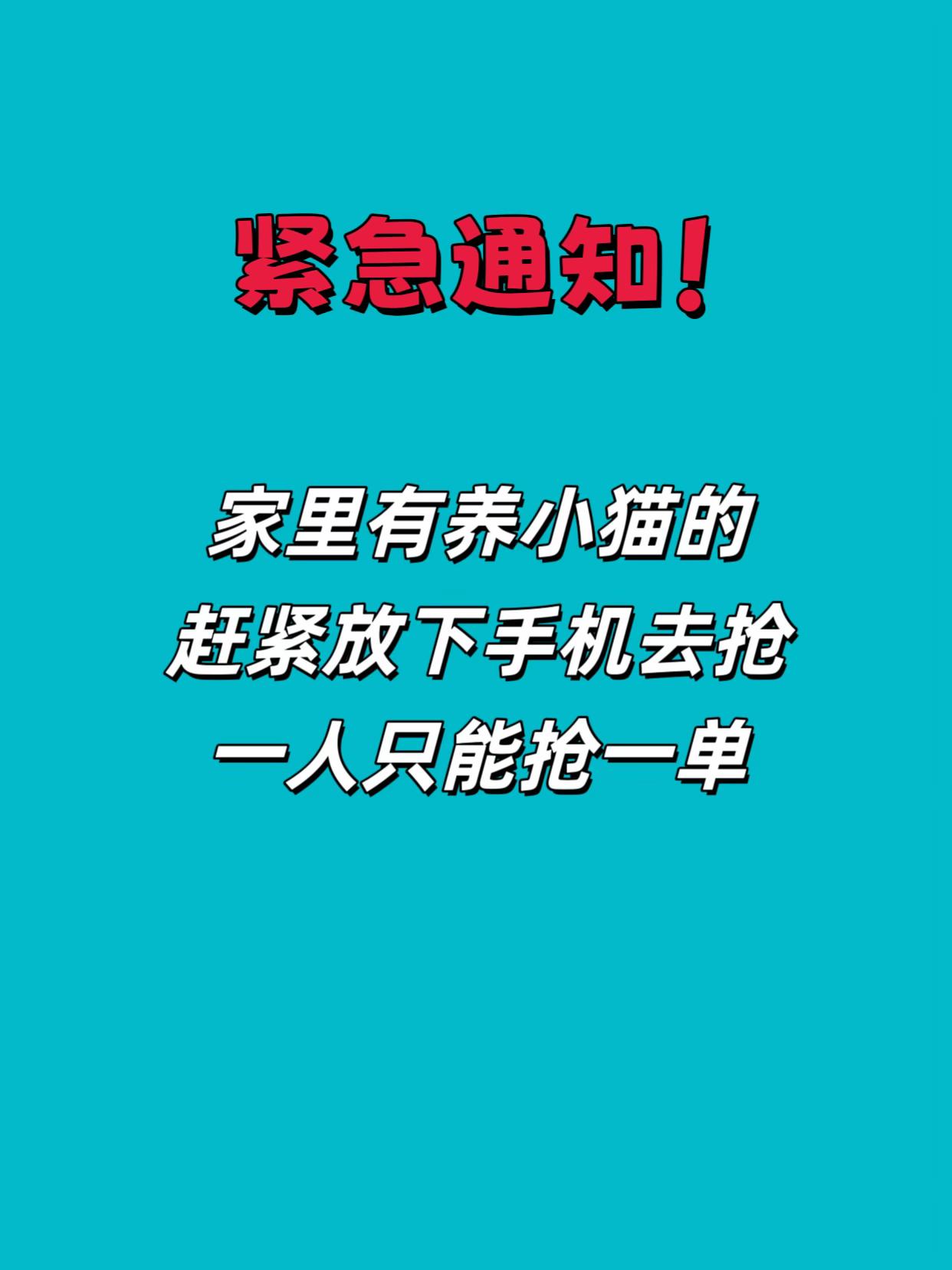 我的天呐,快来看看这个麦富迪的零食大礼包,里面足足有二十三款热销产品,都是小猫咪爱吃的!有肉酱猫条、主食罐、冻干生骨肉饼、主食包,还有超多新品试吃装,这么一大包够吃好久了!而且还是麦富迪大品牌,品质有保障,刷到的宝子赶紧薅一份试试!#麦富迪冻干零食 #养猫人的快乐 #养宠必备