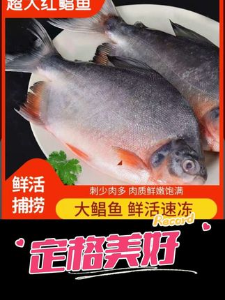 爸爸优秀孩子一定优秀,孩子80%的缺点都来源于爸爸#美食 #好物推荐🔥 #加油💪加油💪 #向往的生活9这样 #每日一笑