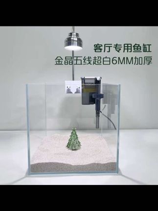#水族 #溪流缸 #造景 #超白鱼缸
