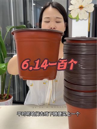 #花盆#草莓种植 #阳台小院均可种植 #育苗花盆 #植物花盆