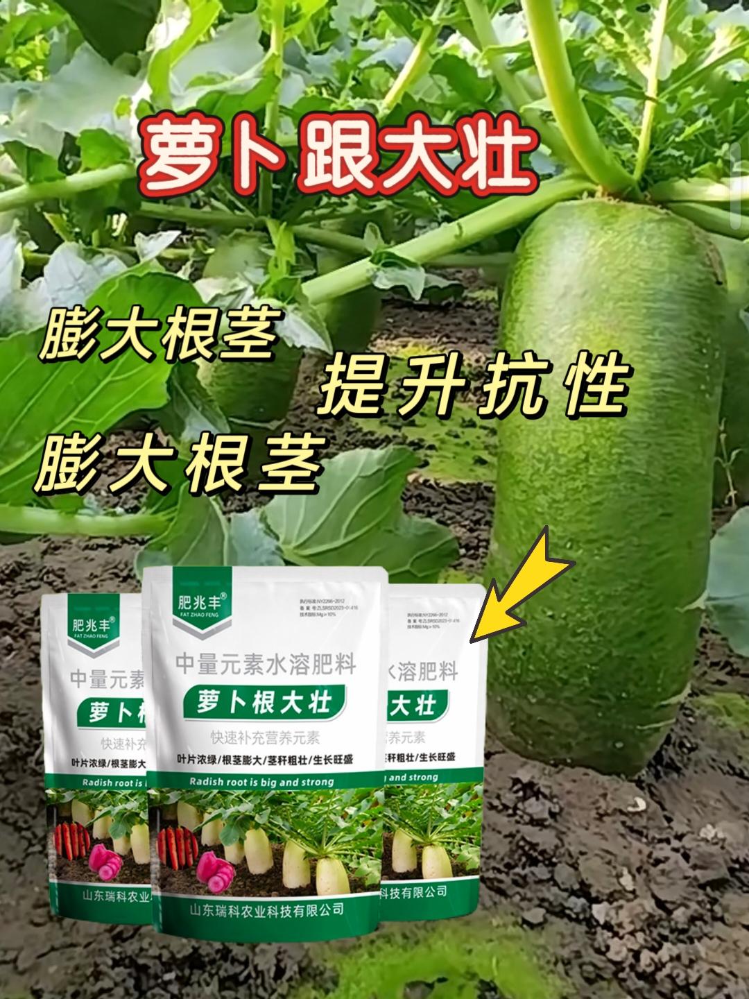 萝卜大壮叶面肥,营养直供,高效吸收!专为根茎作物研制,强力促进根系膨大,叶片浓绿肥厚。显著提升萝卜产量与品质,个头均匀,口感脆甜。丰收就选萝卜大壮,让您的田地“壮”起来!#三农知识分享 #三农 #农业种植 #分享农业小知识 #三农 @DOU+上热门 @DOU+好生意