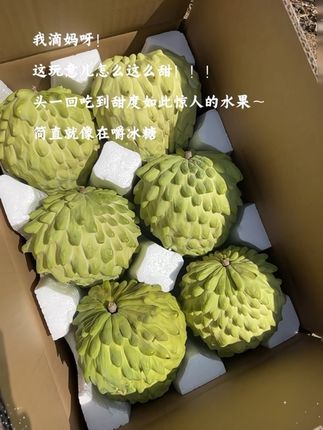 巨巨巨甜的释迦果!既有香蕉的绵甜,又有菠萝的香气,奶香奶香的,每一口都充满了浓郁的果香,让人回味无穷😋,释迦果是一种非常值得尝试的水果,如果你还没有吃过,一定要尝尝哦!#释迦果#新鲜应季水果#好甜好甜#口感特别好#优质农 产品
