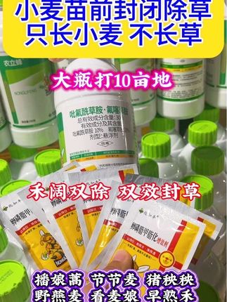 小麦苗前封闭除草剂#小麦种植#苗后可全田喷施#三农#农业种植#服务三农心系三农