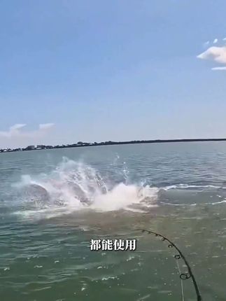 喜欢抛竿 矶竿 滑漂的钓友们注意了,这款斑点鱼线你值得拥有#渔具用品 #爱生活爱钓鱼 #斑点线 #抛竿浮钓鲢鳙 #鱼线