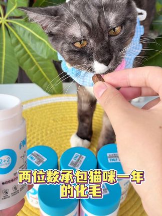 猫咪掉毛季,这个每日化毛小方,两位数承包一年的化毛‼️#养猫小百科 #养猫新手 #科学养宠 #佩纳嘉 #猫咪化毛