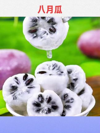 #八月瓜 新鲜八月瓜8八月炸5斤当季水果现摘野香蕉甜香瓜孕妇特产整箱包邮#八月炸瓜#新鲜水果#好物推荐#国庆好物