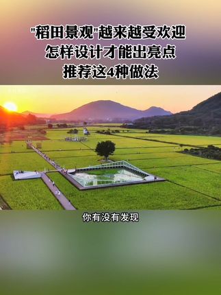 稻田景观越来越受欢迎,一年四季都有不同的变化和韵味,要怎样设计才能出亮点?推荐这4种做法!#稻田 #农场 #休闲农业 #农庄 #新农人