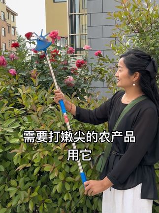 #农具 #实用工具 #家用好物 #好货推荐 藤蔓嫩枝条修剪,12付电动打尖机