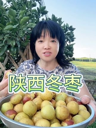 陕西大荔新鲜冬栆#现摘现发产地直发#快来一起尝个鲜 #超级便宜好吃