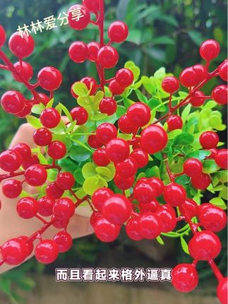 #工艺品摆件 #发财果 #发财果摆件 红果又叫发财果,寓意着财源滚滚,幸福美满。把它放在客厅里,不仅美观大气,而且特别喜庆,预示着新的一年红红火火,日子越过越甜。