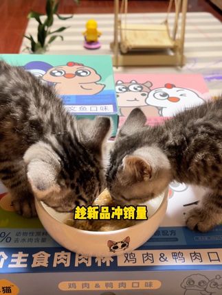 一定要给猫咪吃这个主食肉肉杯,每一罐都是鲜肉制作,猫咪嘎嘎爱吃,想不胖都难,而且这个包装也太可爱了吧#萌宠好物 #养猫新手 #湿粮 #猫咪湿粮 #养猫人