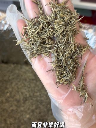 高品质茉莉花茶!超级鲜嫩的小茶芽,好看好喝#强烈推荐