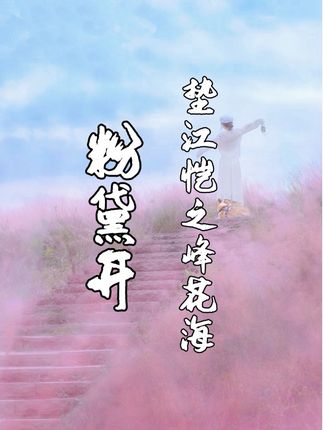 重庆人国庆别乱跑!恺之峰承包你的秋日浪漫 #恺之峰 #国庆出游 #赏花 #浪漫花海 #粉黛花海