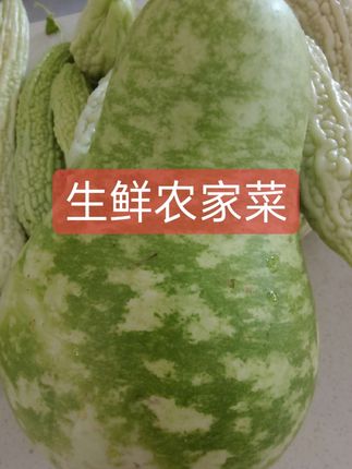 #农家菜 #生鲜蔬菜 应季葫芦 苦瓜 豆角 茄子 缸豆 丝瓜两种混搭发货 鲜蔬菜直发:选择 5-6斤混合装(如黄瓜、四季豆、茄子、苦瓜、豆角),本地农家直供。