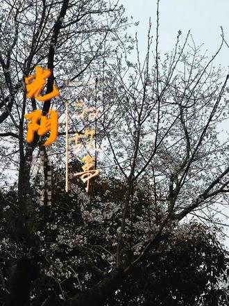 #自我提升 #认知觉醒
人生浮沉,皆有定数,不必强求,亦不必慌张。
心若有方向,何处不是归途。
该来的总会如期而至,该走的不必强留。
到什么年纪,就走什么路;到什么地方,就看什么风景。
不纠结过往,不焦虑未来,顺其自然,便是圆满。
凡事随缘,随心而行,自有最好的安排。
你只管安静努力,剩下的交给时间。随心而行,万事皆有定数!