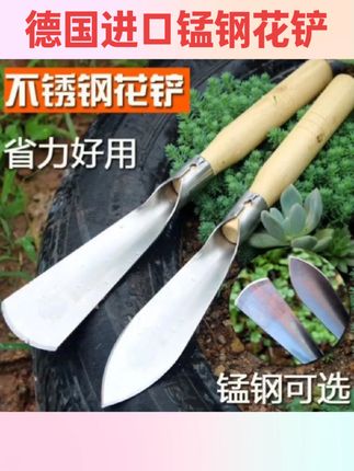 #好物推荐🔥 德国进口锰钢小铲子挖土挖草野菜神器起根器种花除草铁铲园艺工具#铲子 #园艺 #园艺工具 #农用好物